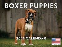 Boxer Pupp