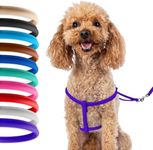 CollarDirect Rolled Leather Dog Harness Small Puppy Step-in Leash Set for Walking Pink Red White Blue Green Black Purple Beige Brown Yellow (Purple, XS)