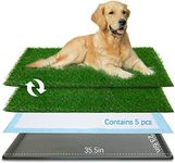 Oiyeefo Dog Grass Pad with Tray,35.