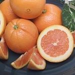 Melissa's Fresh Cara Cara Oranges (
