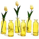 Patelai Yellow Glass Vase Bud Vases
