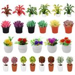 cobee Dollhouse Miniature Bonsai Plant, 25 Pieces Dolls House Mini Plants 1:12 Dollhouse Garden Potted Plants Flower Model Fairy Garden Ornament Dollhouse Decoration Accessories