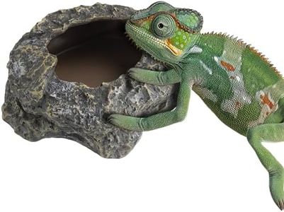 Navaris Mangeoire pour Reptile - Petite gamelle de Nourriture Tortue terrestre Serpent lézard Gecko pour Terrarium Vivarium - Bol à Eau ou de Nourriture en polyrésine