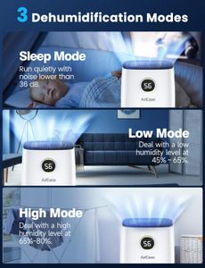 12L Dehumidifier with Digital Display – Compact Home Moisture Removal