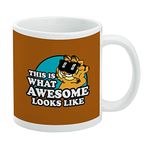 GRAPHICS & MORE Garfield This is What Awesome Looks Like Ceramic Coffee Mug, Novelty Gift Mugs for Coffee, Tea and Hot Drinks, 11oz, White