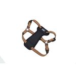 Coastal Pet K9 Explorer Reflective Adjustable Padded Dog Harness - Plush Chest Pad for Comfort - No-Pull Dog Harness for Small and Large Dogs - Campfire Orange - 5/8" x 16"-24", Small