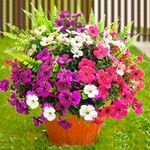 TSTWETO 16 PCS Artificial Flowers for Outdoors,Artificial Plants Outdoor Fake Flowers UV Resistant, Outdoor Fake Plants Plastic Faux Flowers for Porch Window Box Garden