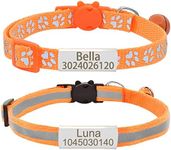 Personalized 2 Pack Reflective Cat 