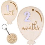 Baby Monthly Milestone Marker Discs, Reversible Photo Props, Baby Growth and Pregnancy Growth Cards, 1-12 Months, Gender-Neutral Gift. (Balloon)