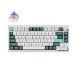 Keychron Q1 HE Custom Mechanical Keyboard, Hot-Swappable Full Metal Programmable Knob with Hall Effect Gateron Double-Rail Magnetic Nebula Switch, 2.4 GHz/Bluetooth/Wired Gaming Keyboard - Shell White