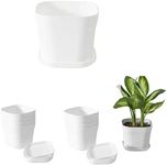 Naisfei 4 Inch Plant Pots 10 Pack Small with Drainage Hole and Saucer, Decorative Nursery Flower Pot Bulk for African Violet, Snake Plant, Suitable for Indoor and Outdoor Use (White)