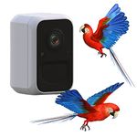 Smart Camera for Bird Feeder, Auto Capture and Record Bird Videos & Push Motion Notification, WiFi Bird Camera, for Night Vision Bird Box Camera, Bird Watching Camera with App