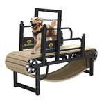 Dog Treadmills