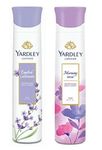 Yardley London Deodorant For Women English Lavender and Morning Dew Combo Pack 2 (150 ml)