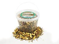 Chubby Mealworms Natural Seed & Nut Mix Forest Feast Squirrel Food (5 Litre) Natural Seed & Nut Mix Food for Chipmunks & Squirrels, Squirrel Feed Includes Sunflower, Peanuts, Naked Oats, Nuts in Shell