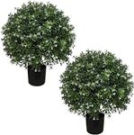 ALL SEASON GREEN Boxwood Ball Shape