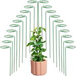 ORILEY 16" Plant Support Stakes Adjustable Single Stem Metal Sticks Suitable for Small & Light Indoor and Outdoor Plants - (69g, Green, Pack of 20)