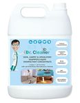 Rug Doctor Carpet Cleaner For Stairs Only