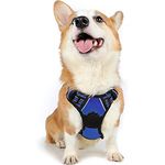 rabbitgoo Dog Harness Medium No Pull Pet Harness with 2 Leash Clips, Adjustable Soft Padded Pet Vest Harness, Reflective No-Choke with Easy Control Handle for Training or Walking, Blue, M