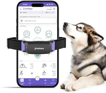 Smart Collar 2.0 by PetPace | AI-Powered Dog Health Monitor & GPS Tracker | Tracks Heart Rate, Pain, Anxiety & Stress, Vet-Backed with Real-Time Alerts & Monitoring - Subscription Required (Medium)