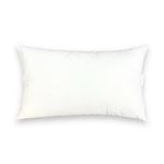 AZARYA Pillow Insert/Decorative Pillow Inserts/Hypoallergenic Inserts/Pack of 1 (16x24)