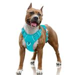 BARKBAY No Pull Dog Harness Large Step in Reflective Dog Harness with Front Clip and Easy Control Handle for Walking Training Running with ID tag Pocket