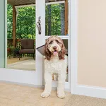 PetSafe Sliding Glass Pet Door, 1-P