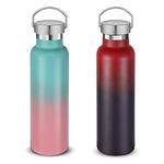 Neihepal 20 oz Insulated Water Bottles Bulk 2 Pack,Stainless Steel Double Wall Sport Bottle with Lid of Handle,Metal Reusable Thermoses Flask for School,Cyclists,Hikers,Gift (Assorted,Set of 2)