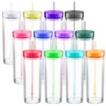 12 Pcs Acrylic Skinny Tumblers 16 oz Acrylic Tumblers with Lids and Straws Double Wall Plastic Tumbler Skinny Tumbler Plastic Skinny Tumblers Bulk for Drink Party Birthday Gifts, Multicolor