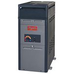 RayPak 106,000 BTU Natural Gas Above Ground Pool Heater