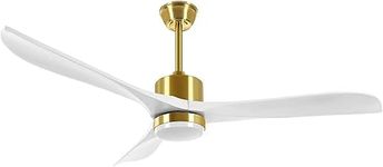 SOUDFK Outdoor Ceiling Fans with Li