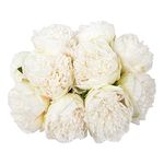 U'Artlines 2 Bouquet 10Heads Artificial Peony Silk Flower Leaf Home Office Wedding Party Festival Bar Decor (White)