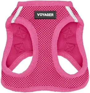 Best Pet Supplies Voyager Step-in Air Dog Harness - All Weather Mesh, Reflective, No Pull Harness for Small, Medium Dogs, Cats - Secure with Hook & Loop Fastener, Buckle, Double D-Rings - Fuchsia, S