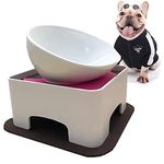 JWPC Bulldog Bowl Anti-Slip Dog Cat Dish Detachable Ceramic Dog Bowl Pet Sterile Tilted Pet Feeder Slope Base (White-5 Cup)