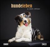 Hundeleben 2022