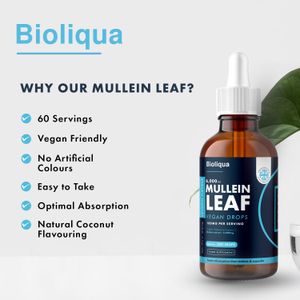 Balance Mullein Leaf Drops 60ml – Herbal Respiratory Support
