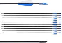 LWANO 31" Training Arrows-Archery P