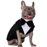 Dora Bridal Dog Suit for Wedding, Pet Business Suit, Fashion Bow Tie Suit, Formal Tuxedo with Black Bowtie, Dog Supplies, M (Color: Black)