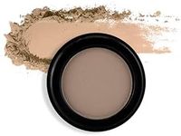 Billion Dollar Brows Eyebrow Powder