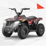 Hover Heart Electric ATV, 36V ATV f