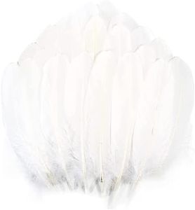 400 Plumas