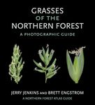 Grasses of the Northern Forest: A Photographic Guide (The Northern Forest Atlas Guides)