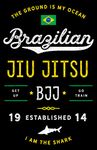 Damdekoli Brazilian Jiu Jitsu Poster, 11x17 Inches, BJJ, Art Print for Jujitsu, Martial Arts, Ground Combat