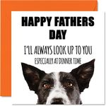 Funny Fathers Day Cards for Dad fro