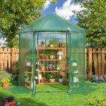 DAKITO 7x7x7.3 FT Walk-in Greenhouse, Heavy-Duty Metal Frame Greenhouse, 180g Double Layer PE Cover, Indoor and Outdoor Green House Kit for Garden/Patio/Backyard/Balcony, Small Size…