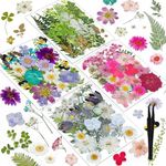 120 Pieces Real Dried Pressed Flowers with Tweezers, Real Pressed Flowers and Leaves for Resin, Candle Making, Crafts, Nails, Scrapbooking, DIY, Jewelry