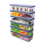 fridbox Polypropylene Fridge Storage Boxes Vegetables With Inbuilt Drain Tray (Pack Of 6) Fridge Organiser Storage Box Set To Keep Fruits, Longer 1200Ml Freezer Storage Containers, Grey