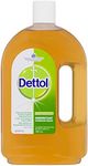 Dettol Antiseptic Antibacterial Disinfectant Liquid, 750ml (Old)