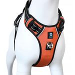 HANK Pet Belt for Dog - 3M Night Reflective - Adjustable Small Breed Dog Harness - Chest (Min 17 - Max 22" inches) (Small, Neon Orange)