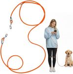 Léwind 8.2ft Hands Free Dog Leash,Versatile Waist & Crossbody Lead for Medium Dogs,Waterproof & Adjustable for Running Jogging Walking, 360° Swivel Metal Buckle (Orange)